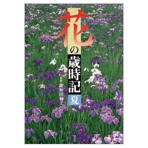 アルバレアの乙女