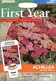 英国ミスターフォザーギルズシード＆ジョンソンシード First Year Flowering Perennials Achillea Summer Berries Mixed ファースト・イヤー・フラ