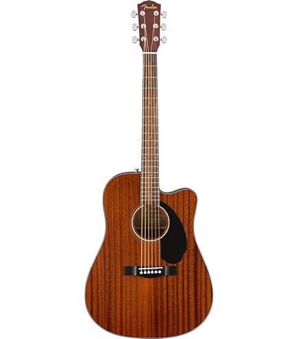 Amazon.co.jp: Fender フェンダー エレアコギター Newporter Player