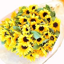 Amazon｜BisesFlower(ビズフラワー)【クール便出荷】ヒマワリ 花束 50