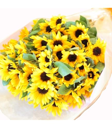 Amazon|ひまわり10本の花束 母の日・お誕生日お祝 記念日などに Amazon|ひまわり10本の花束 母の日・お誕生日お祝 記念日などに