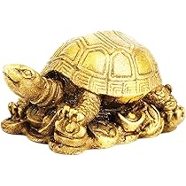 61CnHkZmt1L._AC_UL210_SR210,