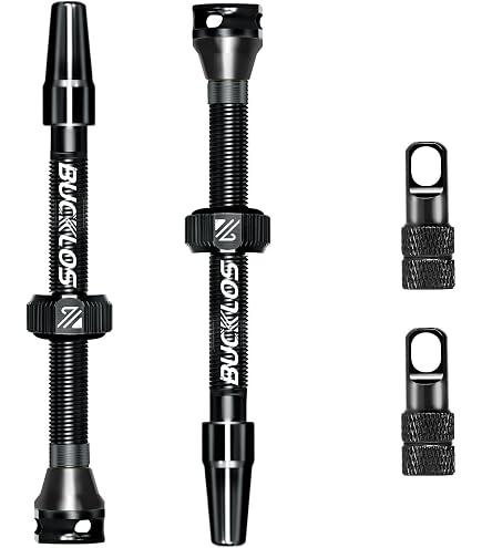 Amazon.co.jp: DT SWISS HWQASM00S1460S RWS フロント用 クイック
