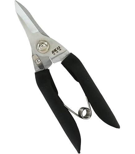 Amazon | タナカ 日曜万能鋏 | ハサミ