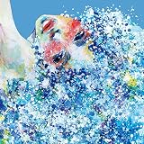 Synesthesia