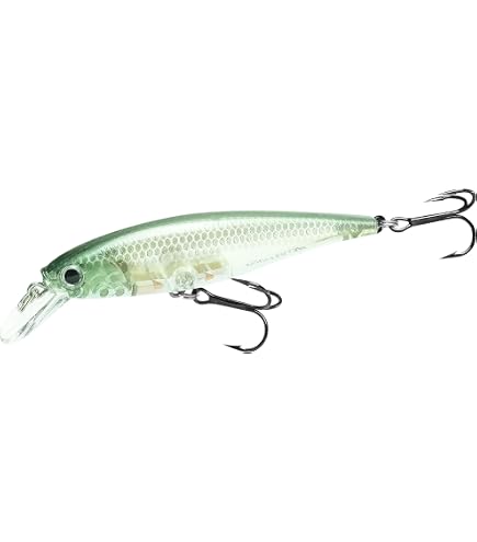 Amazon.co.jp: ラッキークラフトUSA(LUCKY CRAFT)サミー100 (252