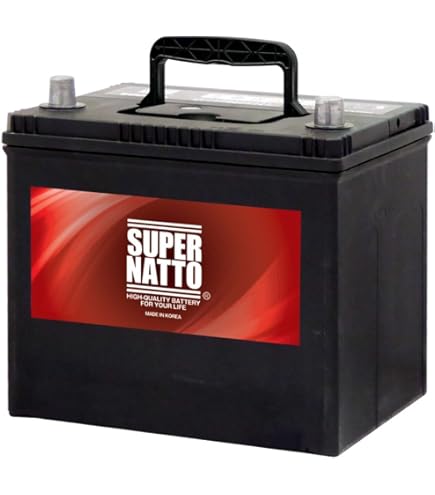 Amazon.co.jp: Delkor ( デルコア ) 充電制御車向け プラチナ