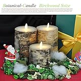 ボタニカルキャンドル バーチウッドS LUMINARA