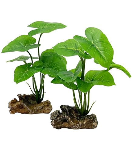 Amazon.co.jp: 天然サンゴ砂 珊瑚砂 さんご砂 ろ材 海水水槽 ヤドカリ