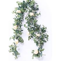 61Crag4vbnL._AC_UL210_SR210,