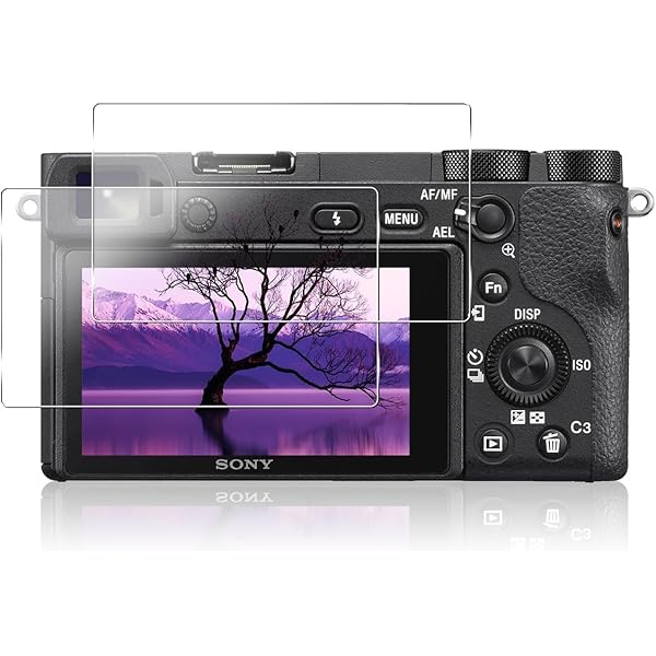 今すぐ使えるかんたんmini SONY α6400 基本&応用撮影ガイド | 井川