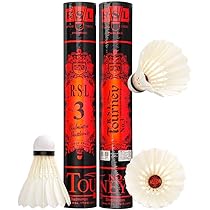 セミシャトル 61CtAuL-tvL._AC_UL210_SR210,