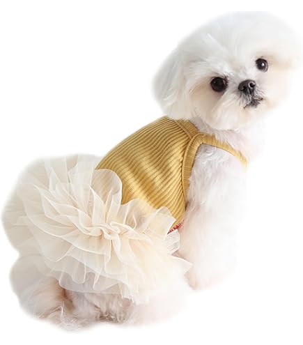 アンティークドールワンピ✴︎フレンチスリーブ　犬服　ハンドメイド　∞TuTu∞ アンティークドールワンピ✴︎フレンチスリーブ犬服ハンドメイド