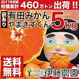 和歌山県 有田 国産 みかん 有田みかん サイズ不選別 訳あり 5kg 箱詰め 伊藤農園 送料無料 柑橘 人気 甘い 和歌山 美味しい 果物 セール 直販 家庭用 小玉 業務用 ギフト 箱 買い サイズ 3L 2L L S SS