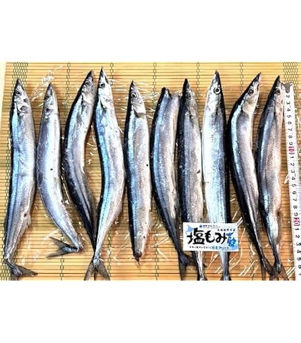 Amazon.co.jp: 網元大将 釣りえさ用 生さんま1kg【食用不可】 冷凍