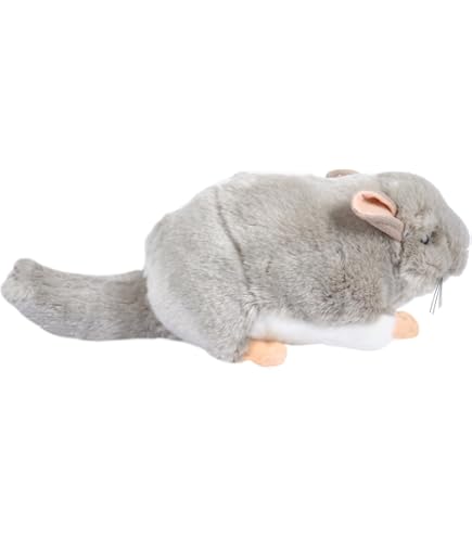 Amazon.co.jp: Gift 東方ぬいぐるみシリーズ32 茨木華扇 ふもふもか