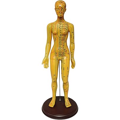 61Cy3T7TBOL._AC_UL405_SR405,