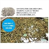 グローベン　環境砂利　GBサブストレート　（1袋：20L）　C50TFS500