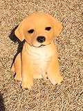 ドッグハウスギフト レトリバー 子犬置物