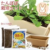 たんぽぽ栽培セット(種・土・プランター・プレート・鉢底石)ブラウン うさぎ用 説明書付き 家庭菜園