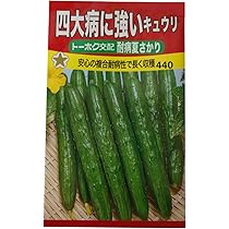 61CzHMNv5xL._AC_UL210_SR210,