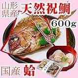 お食い初め 鯛 はまぐり セット 600g 山形県産 天然 真鯛 冷蔵 敷紙 飾り