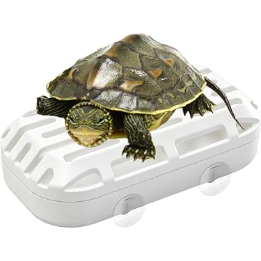 Amazon.co.jp 最新リリース: 観賞魚用品・アクアリウム の新着