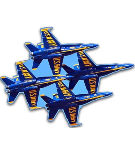 Amazon | 米国海軍 USN ブルーエンジェル刺繍ワッペン アイロン接着