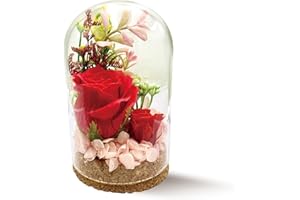 ソープフラワー プリザーブドフラワー ガラスドーム 枯れない花 本物のバラ パープル アレンジメント 母の日 女性 人気 お花 お祝い 誕生日 プレゼント ホワイトデー お返し ギフト ガラスドームアレンジ レッド 花瓶
