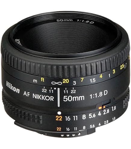 Nikon Ai AF Nikkor 20mm f/2.8D フルサイズ対応
