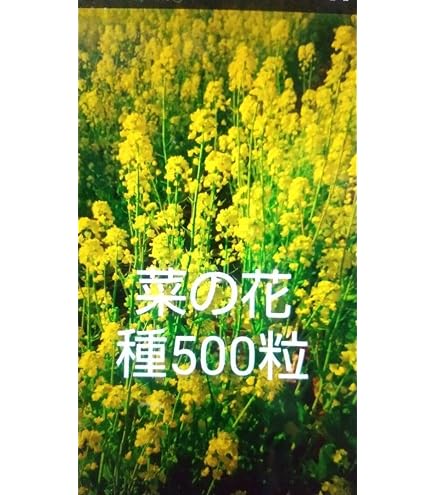 Amazon.co.jp: G06COアニゾー20 ANIZO全8種 GN : DIY・工具・ガーデン