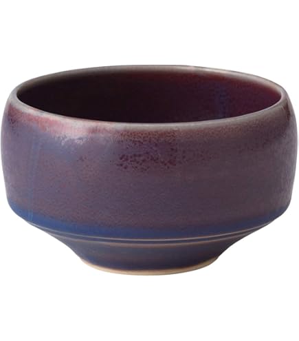 Amazon.co.jp: 黒井一楽作 虫明焼 茶碗 共箱 共布 略歴付 茶道具