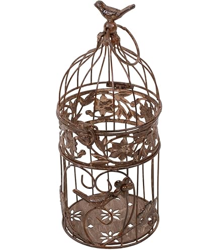 アンティーク風ケージ Amazon.co.jp: フローリストバードケージ【ヘキサゴンSET2