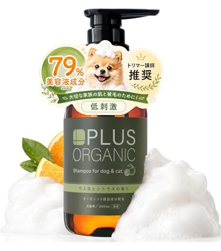 Amazon | ハイアスピレーション C-CELL`LINO シセルリノ C-cell
