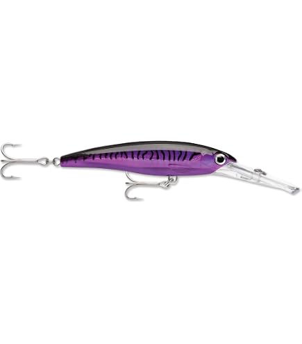 Amazon.co.jp: ラパラ(Rapala) エックスラップマグナム XR20MAG-SBM