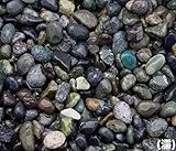 和風砂利 大磯砂利 （20kg）10袋セット 小