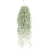 KINOKINO エアープランツ スパニッシュモス 造花 フェイクグリーン 吊り下げ 壁掛け 観葉植物 インテリア (約80cm)