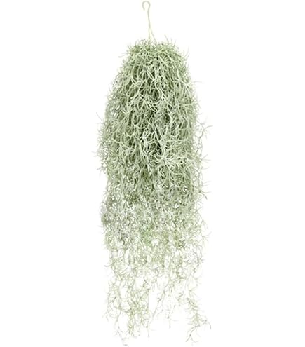 Amazon｜ポッシュリビング 造花 120cm アレカヤシ 81023｜造花