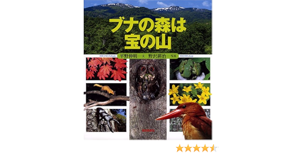 ブナの森は宝の山 平野 伸明 野沢 耕治 本 通販 Amazon