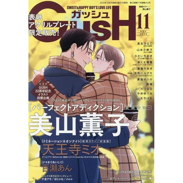 ＲＪＹ様 ディアプラス 2025年12月号 志水ゆき 切り取り RJY様 ディアプラス 2025年12月号 志水ゆき 切り取り 志水ゆき 是