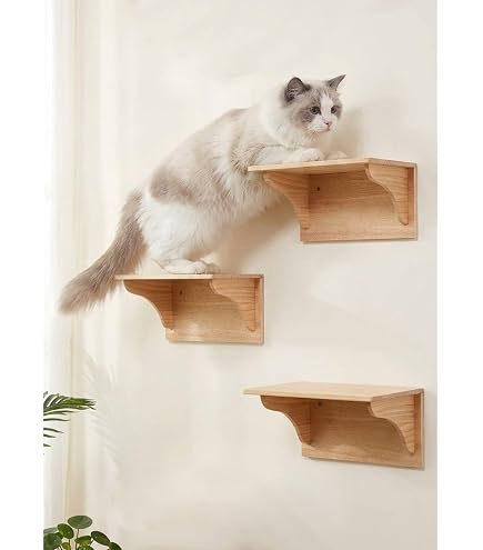 Amazon | 6個セット Cat-Kick 大型 ステップ 穴あけ不要 工具不要 本棚