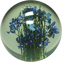 Amazon.co.jp: HafodGrange ハフォドグレンジ 花文鎮フラワー Amazon.co.jp: HafodGrange ハフォドグレンジ 花文鎮フラワー