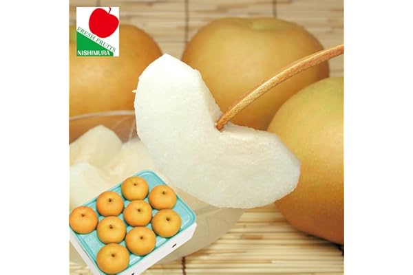 Amazon Co Jp 売れ筋ランキング なし の中で最も人気のある商品です