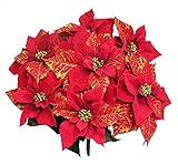 Admired By Nature gpb927-red FauxベルベットポインセチアゴールドPrintedクリスマスブッシュ
