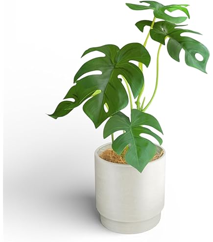 Amazon｜Nicheez 人工観葉植物 フェイクグリーン コンパクトサイズ