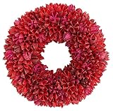 彩か SAIKA 【クリスマス】 リース 赤系 レッド デコレーション 飾り Bloom Berry Wreath M (Red) CXQ-110Sr