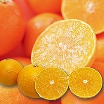 Amazon.co.jp: 愛媛県産マドンナ3kg 【紅マドンナと同品種】 家庭用