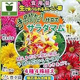 食用菊サラダマム：手間なし仕立て4.5号 2ポットセット ノーブランド品