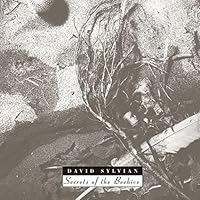 【直筆サイン初回限定 CD/DVD】デヴィッド・シルヴィアン　マナフォン 直筆サイン初回限定 CD/DVD】デヴィッド・シルヴィアン