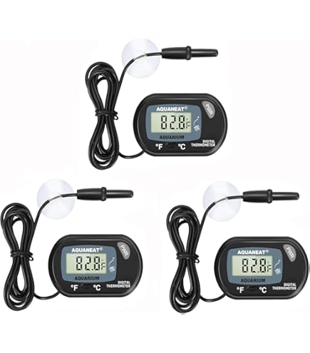 8-Quart Digital Air Fryer